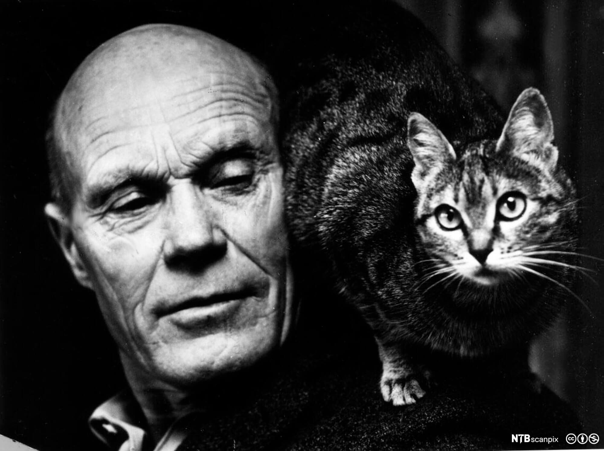 Forfatter Tarjei Vesaas med katt på skulderen. Foto: Rolf Chr. Ulrichsen